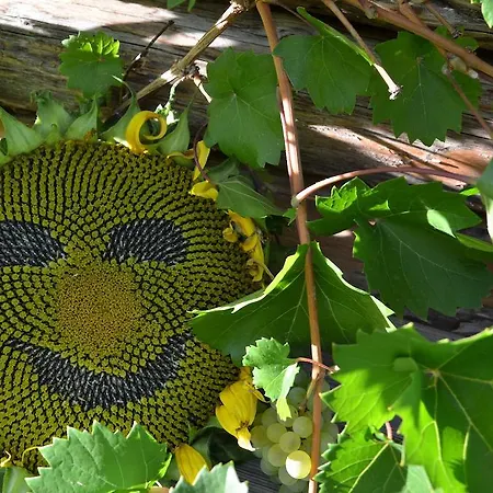 Apartment Apart Harmony *